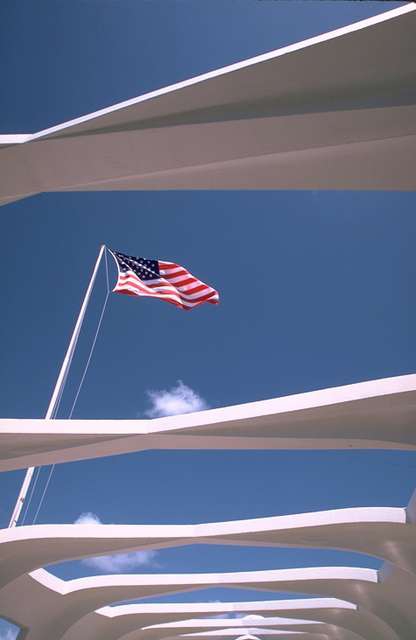 USA_Flag 85