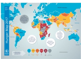 wfp-world-hunger-map-2017